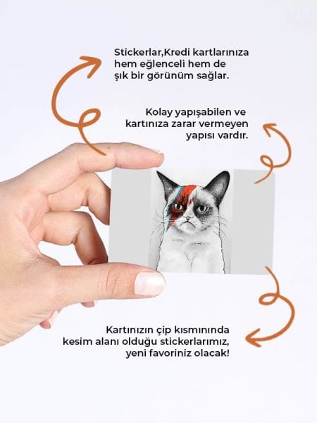 Kedi 2 Kredi Kartı Kaplama Stickeri Papara, Tosla, Kredi Kartı Için Uyumlu