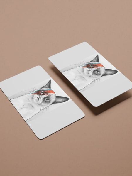 Kedi 2 Kredi Kartı Kaplama Stickeri Papara, Tosla, Kredi Kartı Için Uyumlu