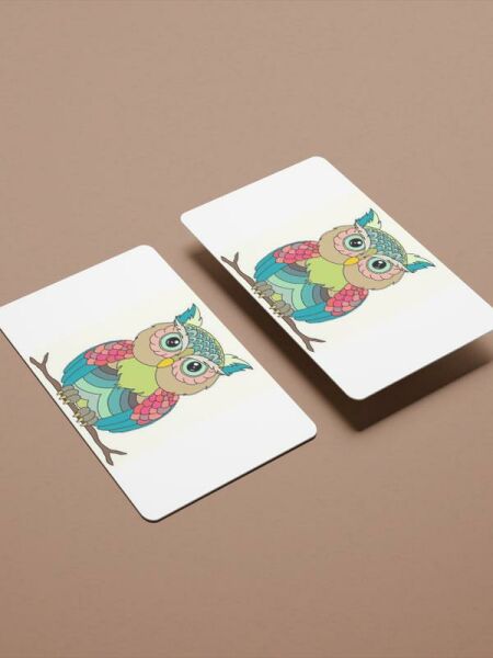 Baykuş 2 Kredi Kartı Kaplama Stickeri Papara, Tosla, Kredi Kartı Için Uyumlu