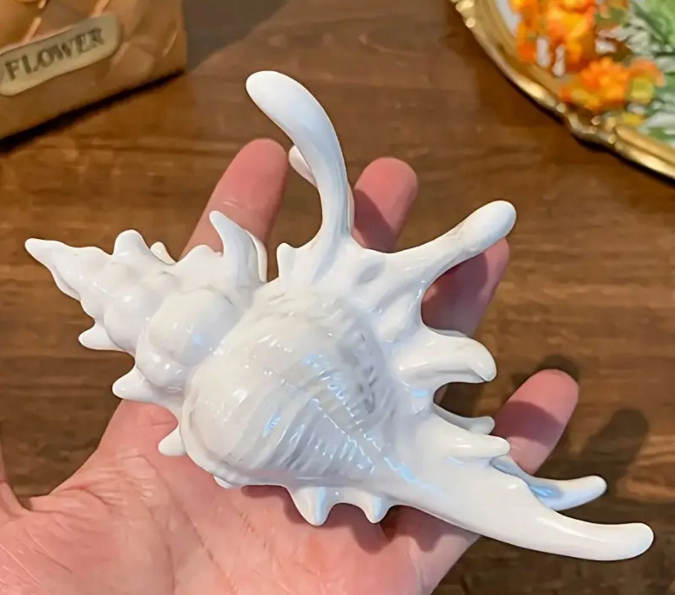 Deniz Kabuğu Desenli Kemik Mandal Toka 12 Adet